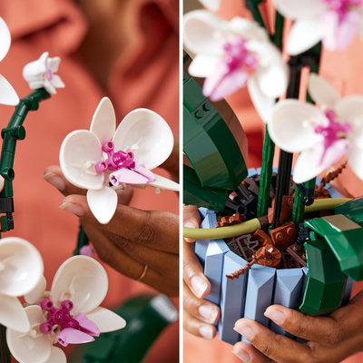 LEGO Colectia Botanica 10311 — Orhidee – imagine 3