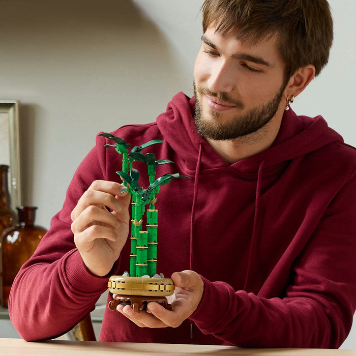 LEGO Colectia Botanica 10344 — Bambus norocos – imagine 1