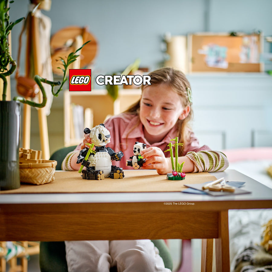 LEGO Creator 3-in-1 31165