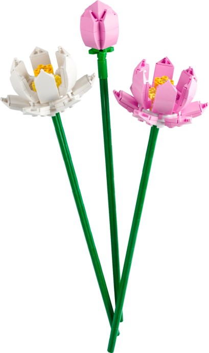 LEGO Colectia Botanica 40647 — Lotus