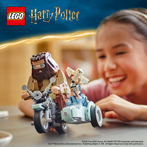 LEGO Harry Potter 76443