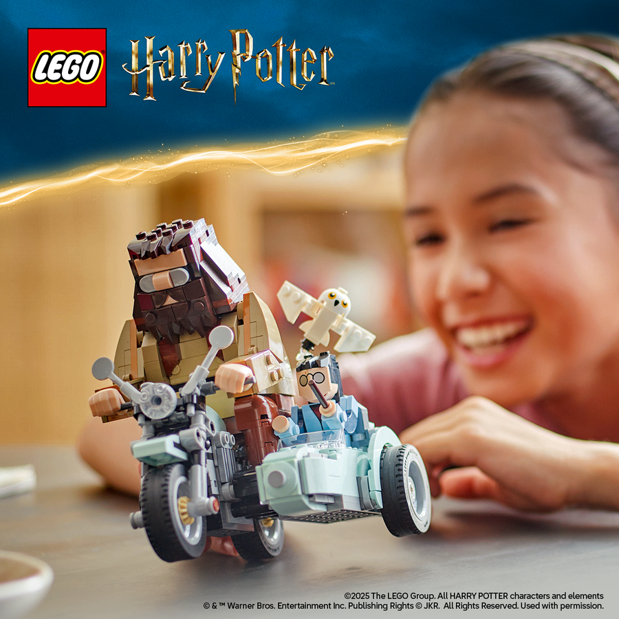 LEGO Harry Potter 76443